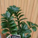 송내남부역공인중개사사무소 이미지