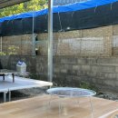 초록민박 | 청도 초록민박 평상, 계곡 후기 (8월 성수기 주말)