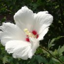 신나는 통기타 이미지