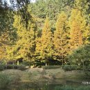 용소웰빙공원 이미지