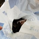 갈매기 좌대낚시 네이버블로그