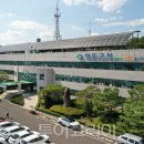 대해관광여행사(주) 이미지