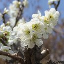 갈풍농장 이미지