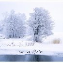 아름다운풍경 이미지