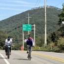 스테이버디 | 미니벨로 버디와 여수 메디오폰도 참가 후기