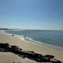 대천민박 | 하운드호텔 대천해수욕장 테라스 스파 패밀리룸 후기