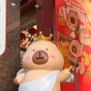 상하이 성젠바오 | [🇨🇳중국/상하이] 난징동루 털고 온 후기! (미니소/팝마트/치이카와마켓/알리페이 꿀팁/고덕지도 링크 모음)