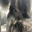 몽스빌리지 이미지