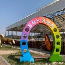 홍성군 승마장 이미지