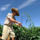 북진농장 이미지