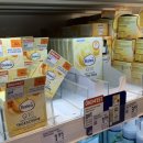 독일 하이델베르크 디엠 DM 쇼핑 기념품 EDEKA 마트 장보기 쇼핑리스트