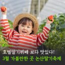논산과일왕 | 논산딸기축제 2026 딸기 꼭 먹어야 하는 이유 효능 총정리