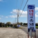 제주참더덕과흑돼지 이미지