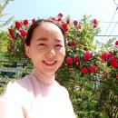 미양고등학교 이미지