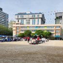 포스코홀딩스(주) | [워킹맘 일기] 2026 대곡초 운동회 현실 후기 & 포스코홀딩스 배당금 수익 인증