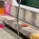 오피스 사에프오 건축사사무소 | 건축사사무소 인턴 셋째 주 후기