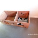 멍멍이집 이미지