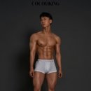 PT전문 레몬 이미지