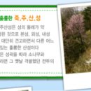 서운사