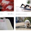 미라클통신 네이버블로그