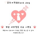 공주애견&Black Dog 이미지