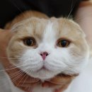 중동우리아이동물병원 이미지