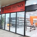 동탄대로21길 | 동탄 파충류샵 티그리스게코 동탄점에서 릴리화이트게코 입양 후기