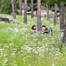 산청 동의보감촌 이미지