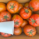 완숙 토마토, 대추방울토마토 // 팽이버섯, 표고버섯 이미지