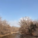 감 이야기 캠핑장 | 광릉숲이야기 캠핑장 D1 사이트 겨울캠핑 후기 주변 가볼만한 곳들 맛집 추천