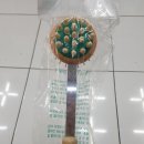 나무의료기 이미지