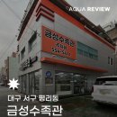 🐟 대구 서구 평리동 물생활 입문자도 부담 없는, 금성수족관