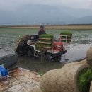 선학농장 이미지