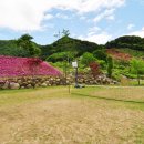 고북벨리 이미지