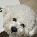 포앤투