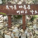 청도의아침