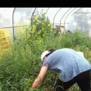 미실농장 이미지