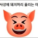 고사상에 돼지머리 올리는 이유 이미지