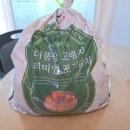 고랭지