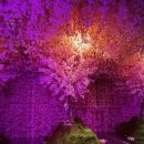 상상홀릭 | 제주도 실내관광지 데이트 코스 추천, 제주홀릭뮤지엄 솔직후기