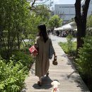 민's 펫살롱 네이버블로그