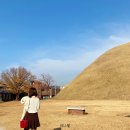 안경상회 월성점 | 11월 경주 2박 3일 뚜벅이 여행 코스 2, 3일차