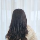 루시드플라워 이미지