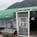 원동 미나리축제 아기랑 / 13번 웅이농장 / 자리대여 비닐하우스