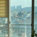 보현약국 이미지