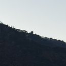 영덕 물가자미 전문점 이미지