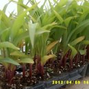 동혜농장 이미지