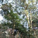 그리운바다성산포민박 이미지