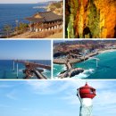 (긴급 지자체지원) 7번국도 1박2일(울진 포항 영덕 경주) 이미지