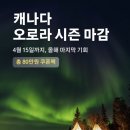 모빌로드주식회사 | 캐나다 여행 오로라 투어 / 옐로나이프 vs 화이트홀스 / 뷰잉 &amp; 헌팅 비교